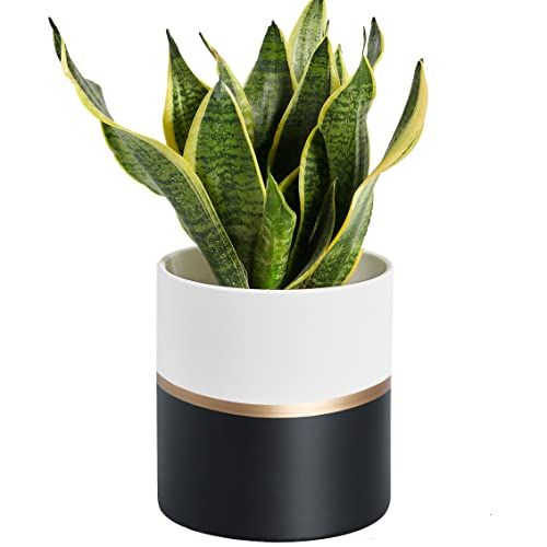 Modern Ceramic Flower Pot 