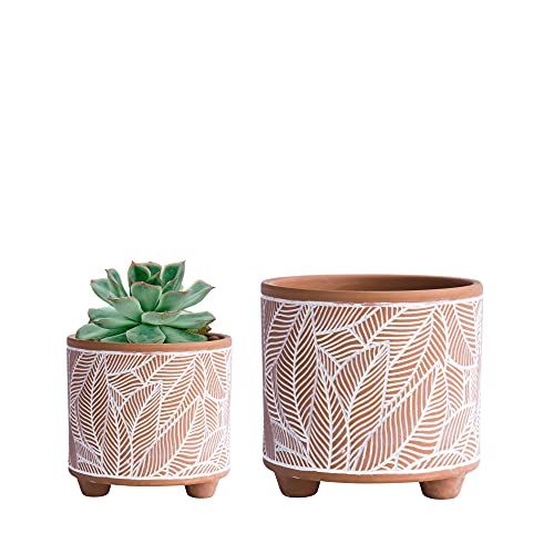 Terracotta Planter Pots, Set of 2