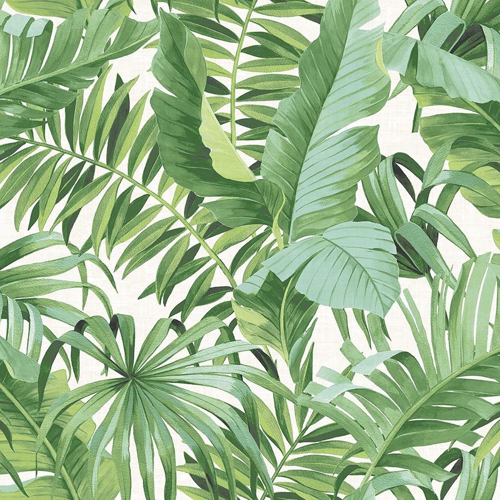 Palm Leaf Wallpaper