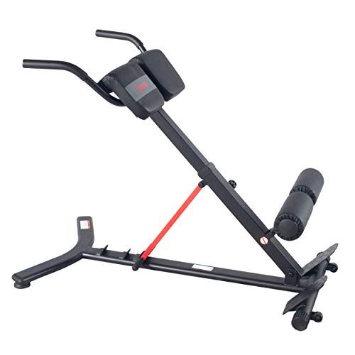 Hyperextension Roman with Dip Station for Back Muscles