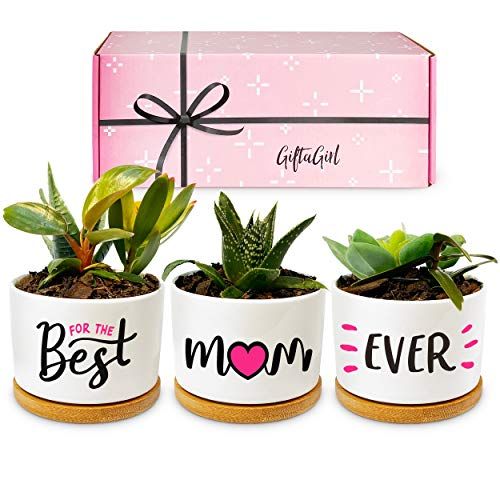 Mother's Day Plants Pots
