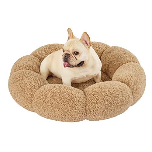 The 10 Best Dog Beds of 2024, Tested and Reviewed