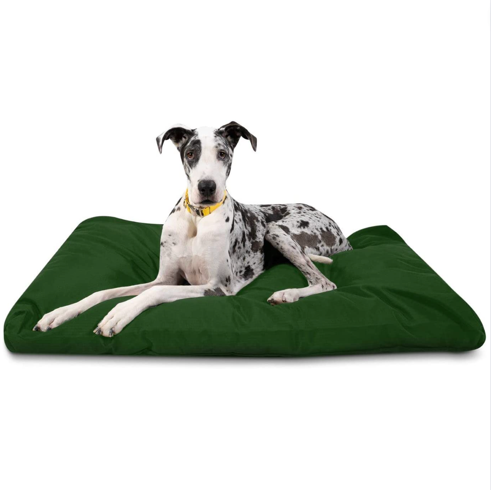 Tough Rectangle Pillow