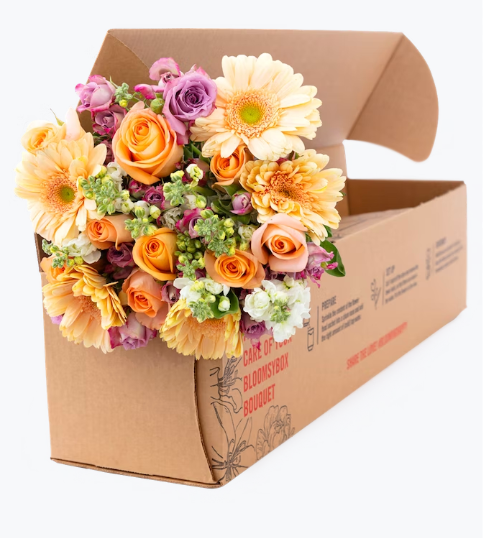 Subscription Box
