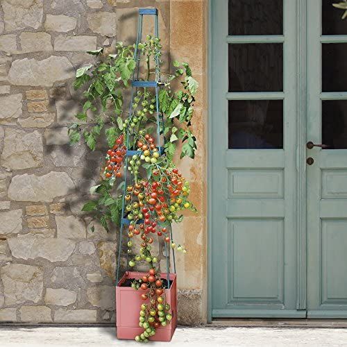 Self Watering 4 Tier Tomato Tower Plant Support Grower