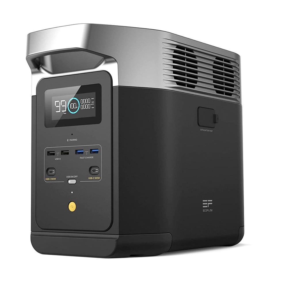 DELTA 2 Portable Power Station