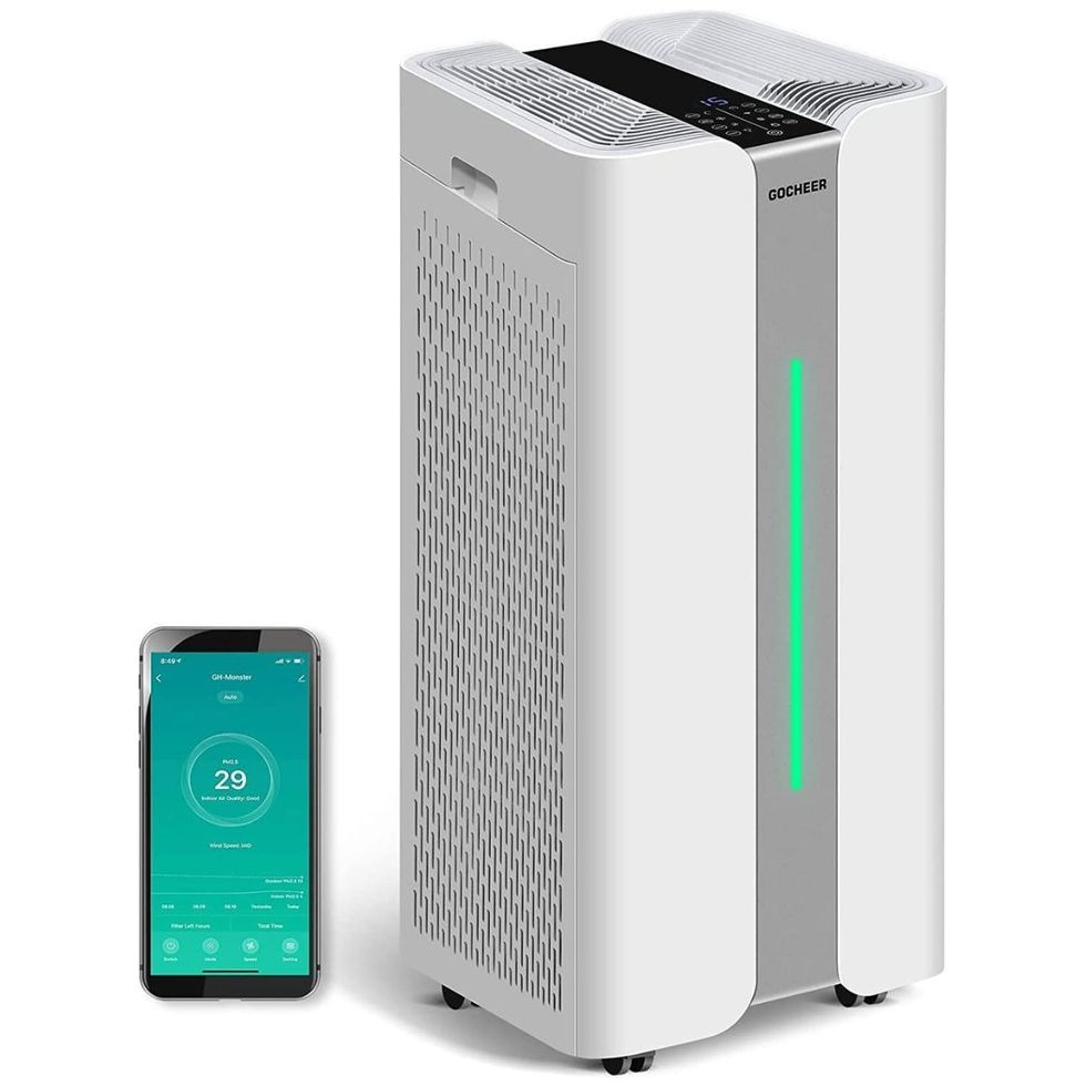 Air Purifier for Extra Large Room