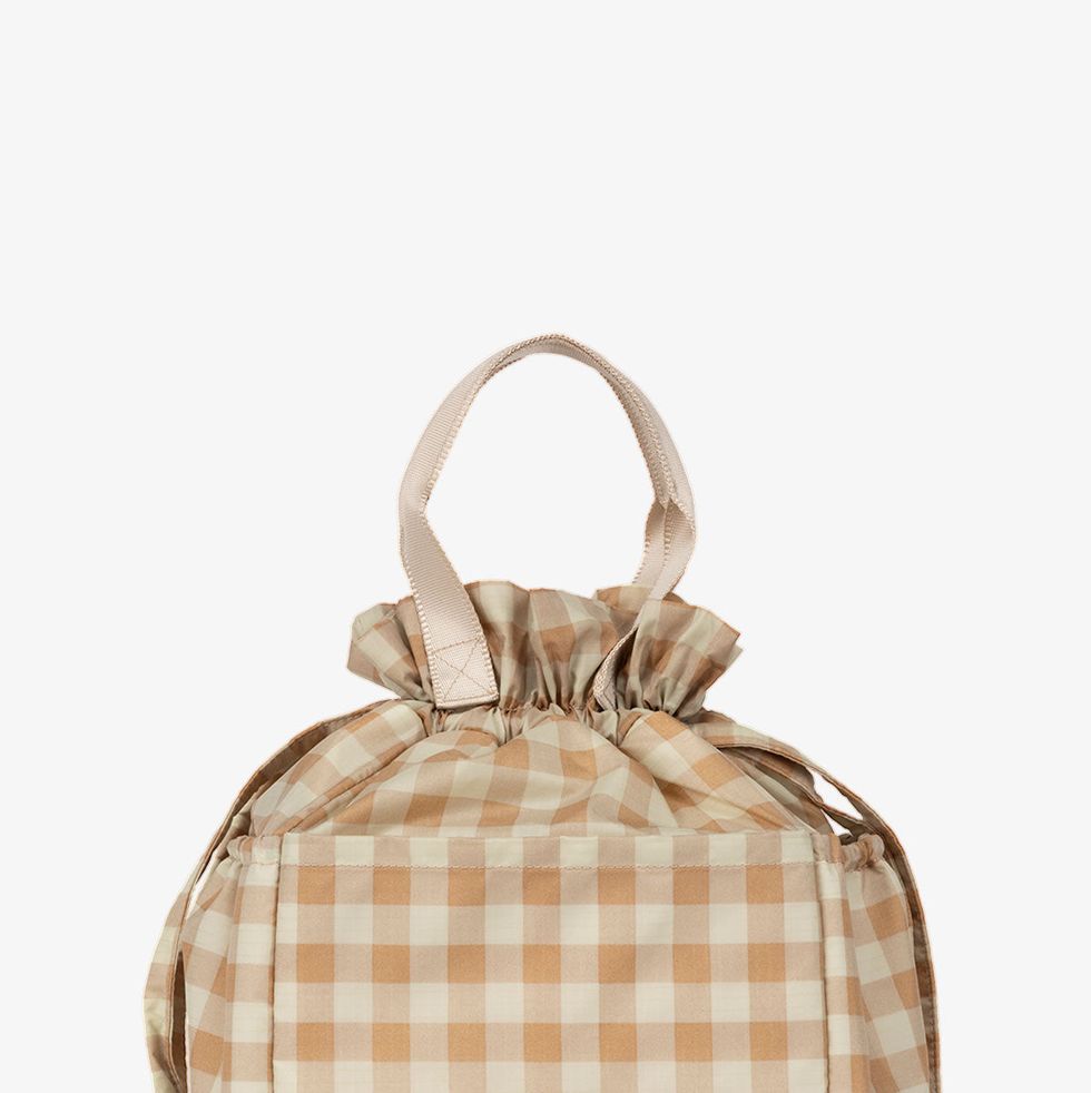 https://hips.hearstapps.com/vader-prod.s3.amazonaws.com/1678206995-INSULATED-LUNCH-BAG-GINGHAM-FRONT_2048x.jpg?crop=1.00xw:0.751xh;0,0.172xh&resize=980:*