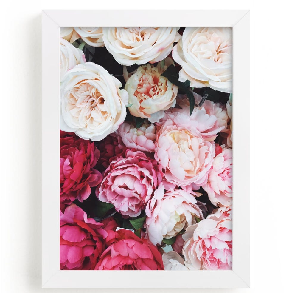 Peony Palette