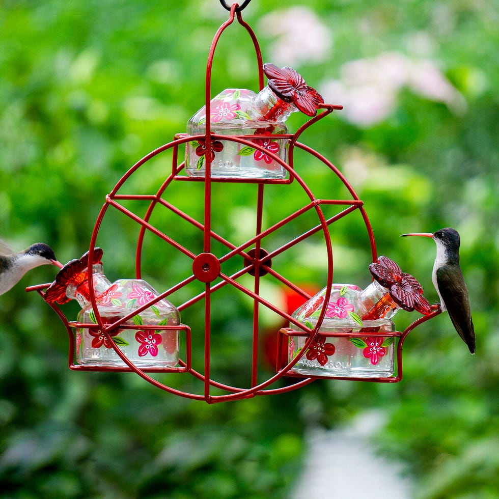 Ferris Wheel Hummingbird Feeder