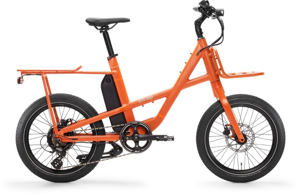 The 10 Best Cargo Bikes Reviewed in 2024: Top Cargo E-Bike