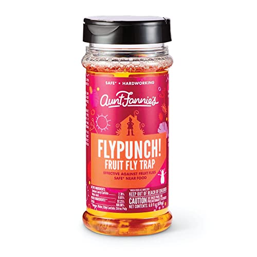 FlyPunch Fruit Fly Trap