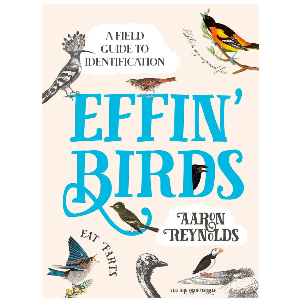 ‘Effin’ Birds: A Field Guide to Identification’ by Aaron Reynolds