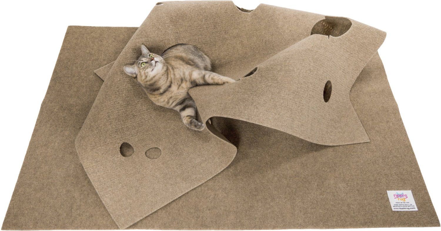 17 Best Cat Toys of 2023 Fun Toys for Bored Cats