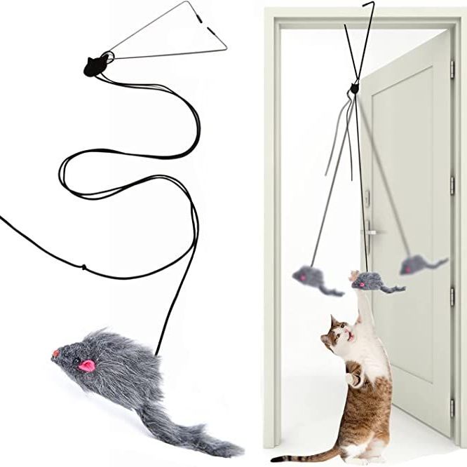  AOSUI cat Treat Toy，Best cat Toys for Bored Cats