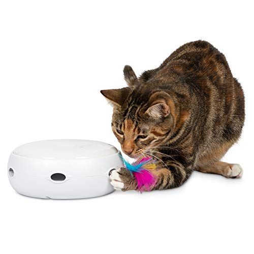 Best Interactive Cat Toys :8 Ways to Engage Your Feline's Body and Mind