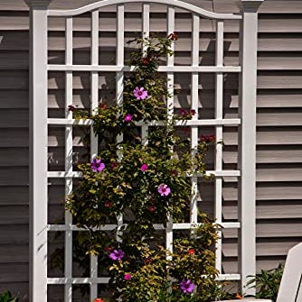 Vinyl Trellis Vinyl Trellis