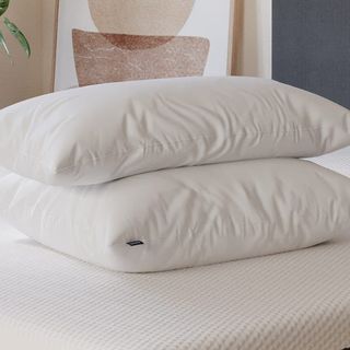 2 microfibre pillows