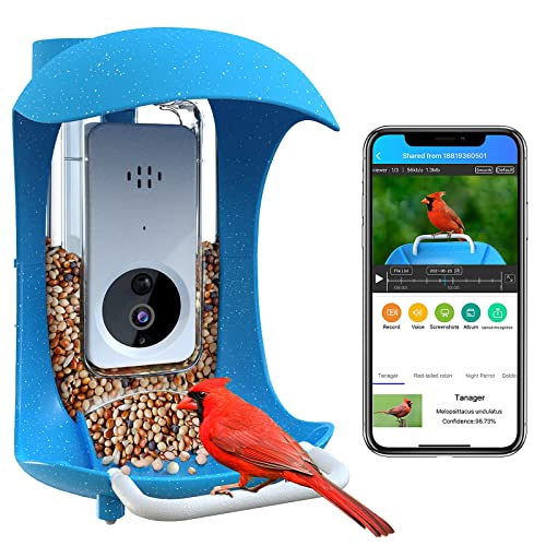 bird watching video camera