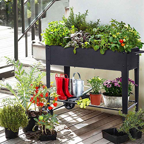 Raised Planter Box