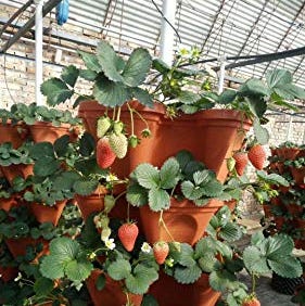 5-Tier Planter 5-Tier Planter