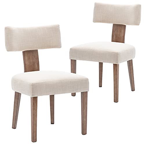 Mid-Century Modern Dining Chairs (Set of 2)
