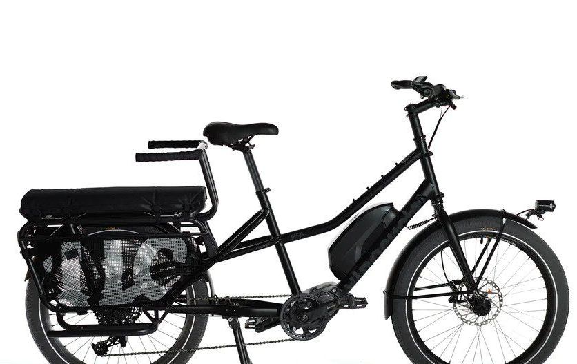 The Best 2024: in Reviewed Bikes Top 10 E-Bike Cargo Cargo