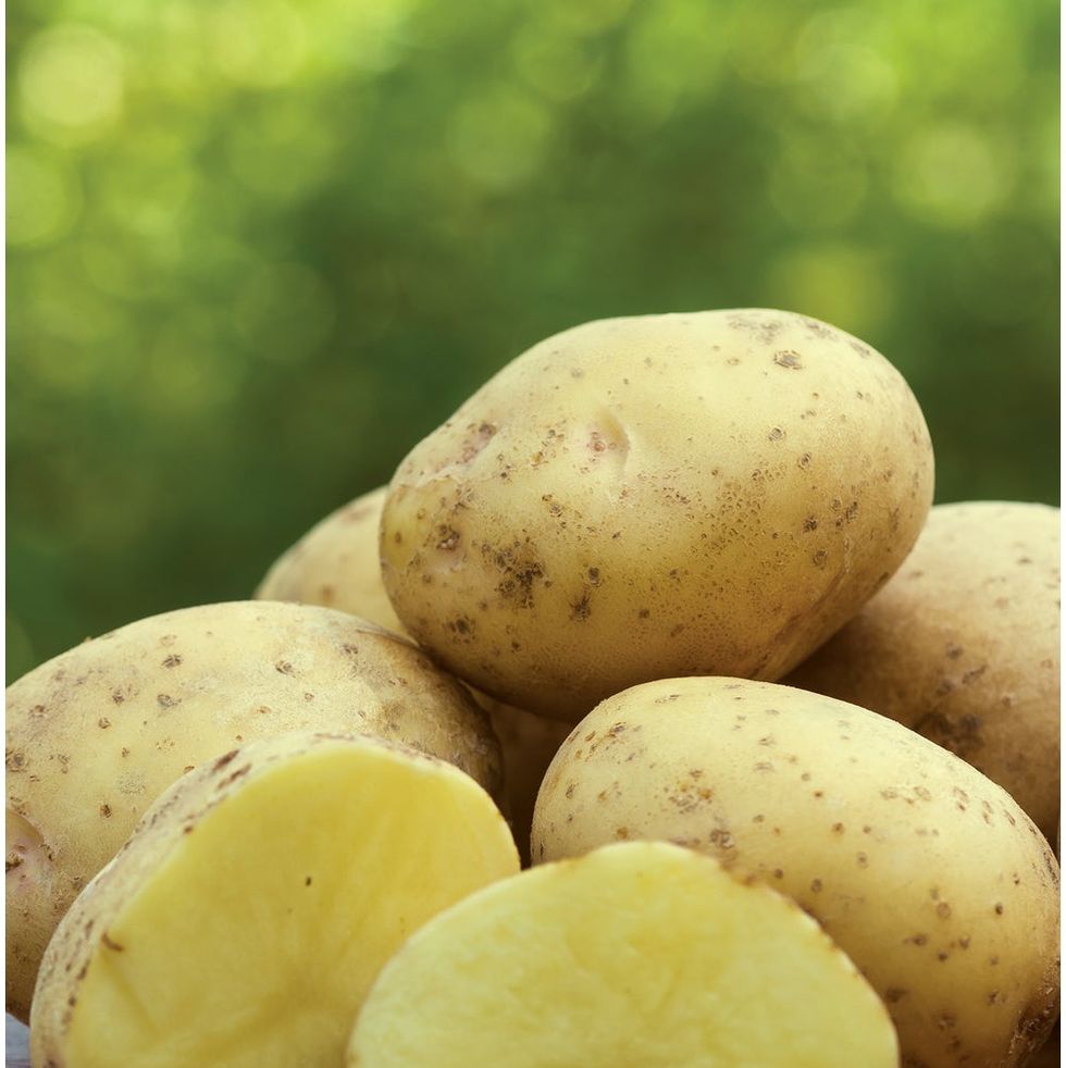 Сорт картофеля Потато