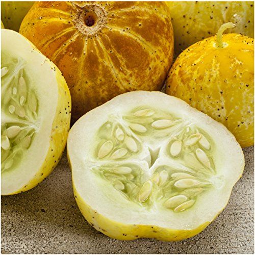 Lemon Cucumber Seeds 
