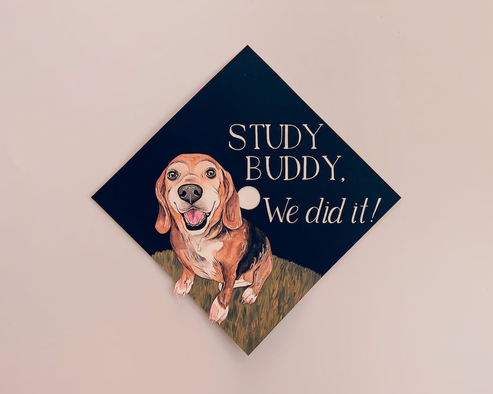 Pet Graduation Cap