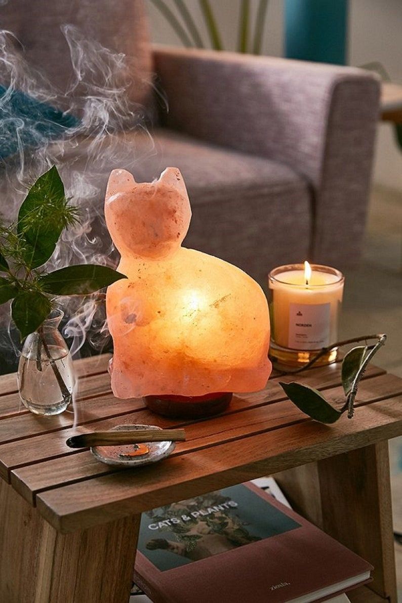 The body source himalayan deals salt lamp