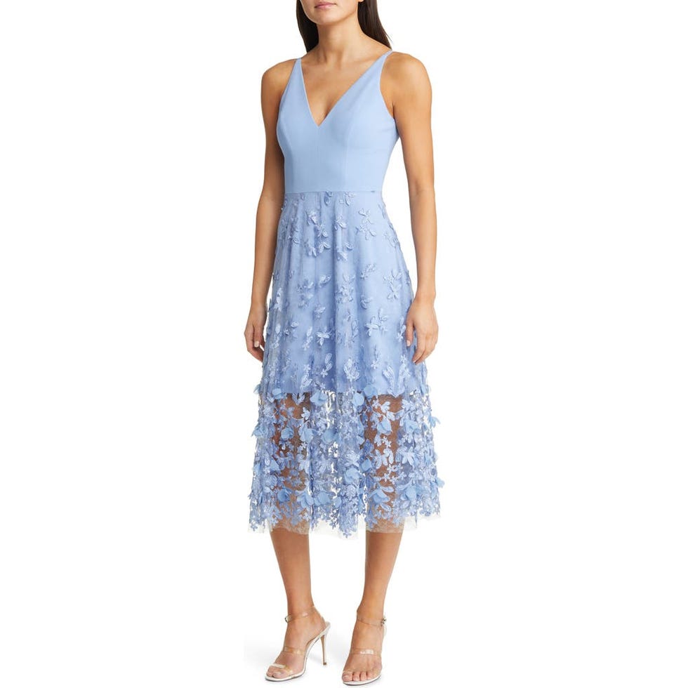 Darleen V-Neck Embroidered Mesh Dress