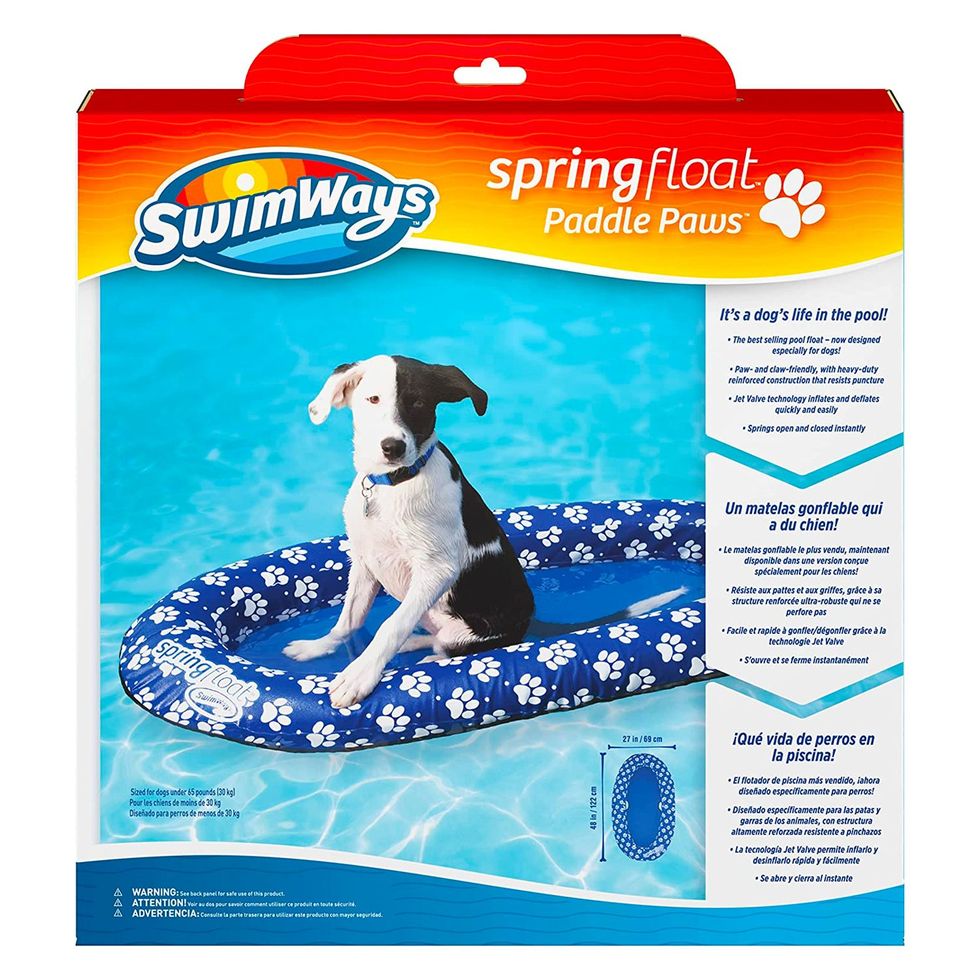 https://hips.hearstapps.com/vader-prod.s3.amazonaws.com/1679496881-swimways-paddle-paws-spring-float-dog-raft-641b16aacc9cd.jpg?crop=1xw:1xh;center,top&resize=980:*