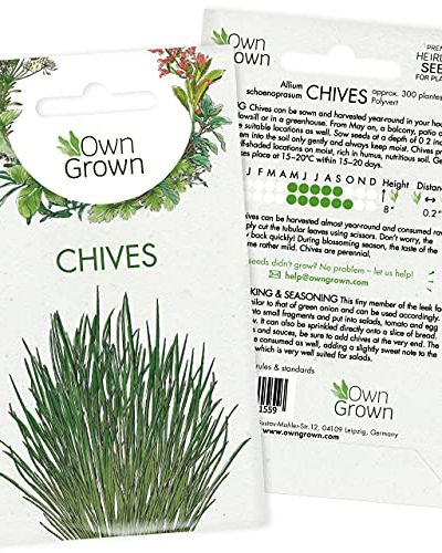 Chive Seeds (Allium schoenoprasum)