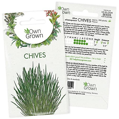 Chive Seeds (Allium schoenoprasum)