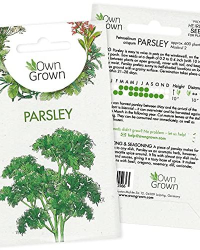 Parsley Seeds (Petroselinum crispum)