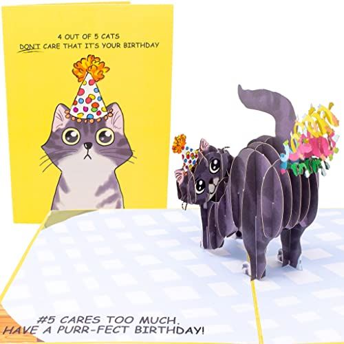 Purr-fect Pop Up Birthday Card