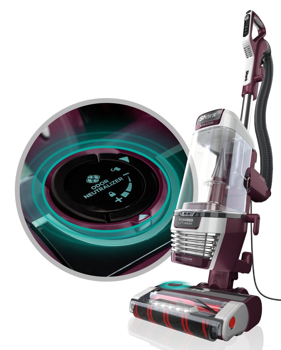 Best Vacuum for Walls and Ceilings