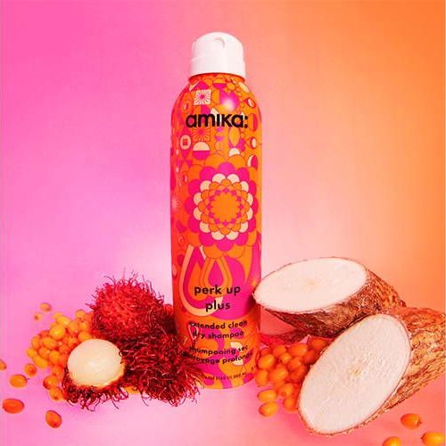Perk Up Plus Extended Clean Dry Shampoo
