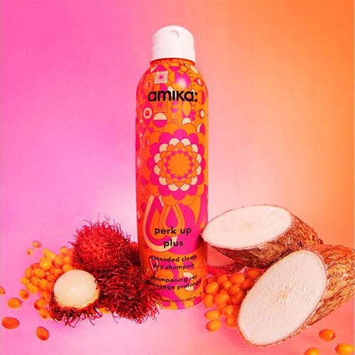 Perk Up Plus Extended Clean Dry Shampoo Perk Up Plus Extended Clean Dry Shampoo