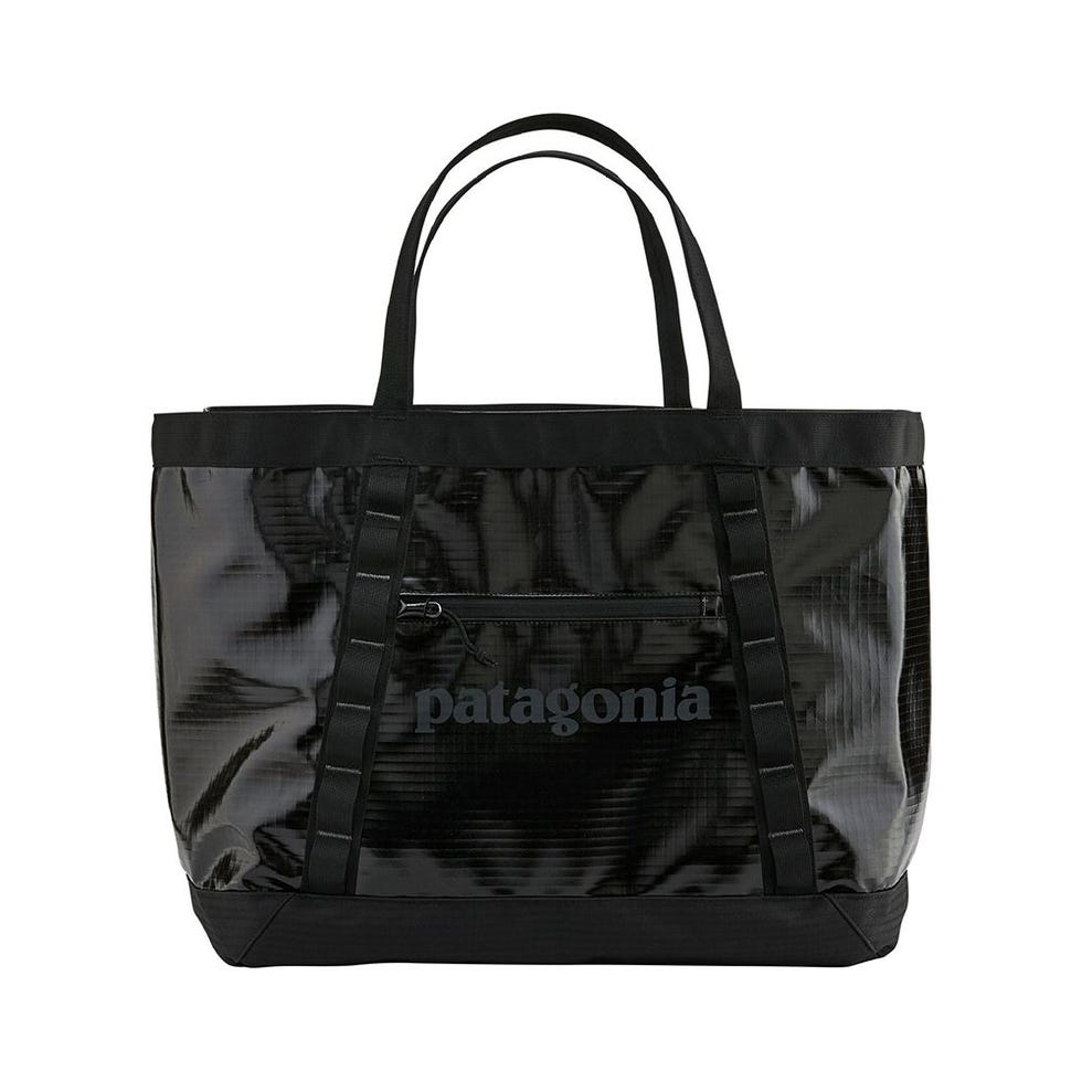 Patagonia Black Hole Gear Tote