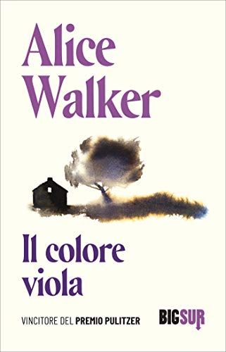 Alice Walker, Il colore viola 