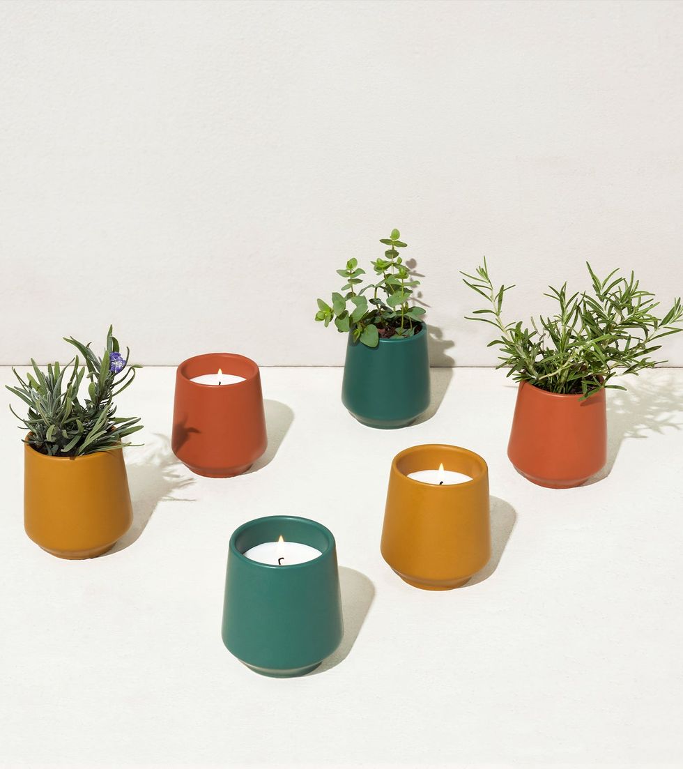 Planter Candle