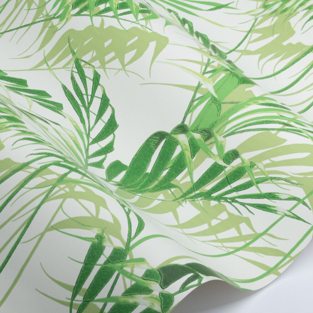 Leaf Wallpaper  Wall Murals  Wallsauce UK