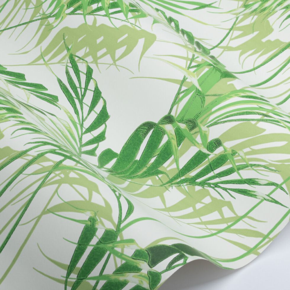 Palm House Jungle Wallpaper