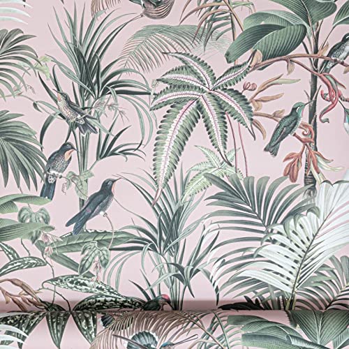 Sophie Laurence Pink Tropical Jungle Wallpaper Sophie Laurence Pink Tropical Jungle Wallpaper