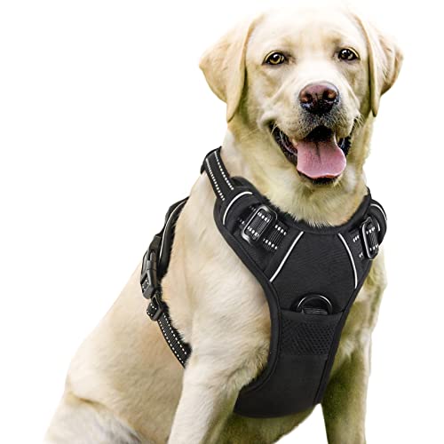 do harnesses make dogs pull