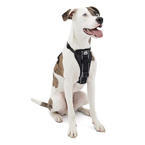 best no pull dog harness, LV dog harness