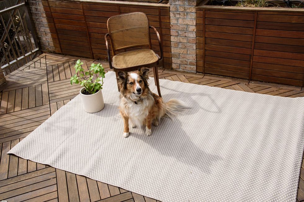 The 11 Best Outdoor Rugs of 2024, Tested and Reviewed