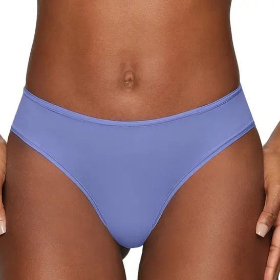 Warner's ~ Women's Brief Underwear Panties Polyester Blend 3-Pair